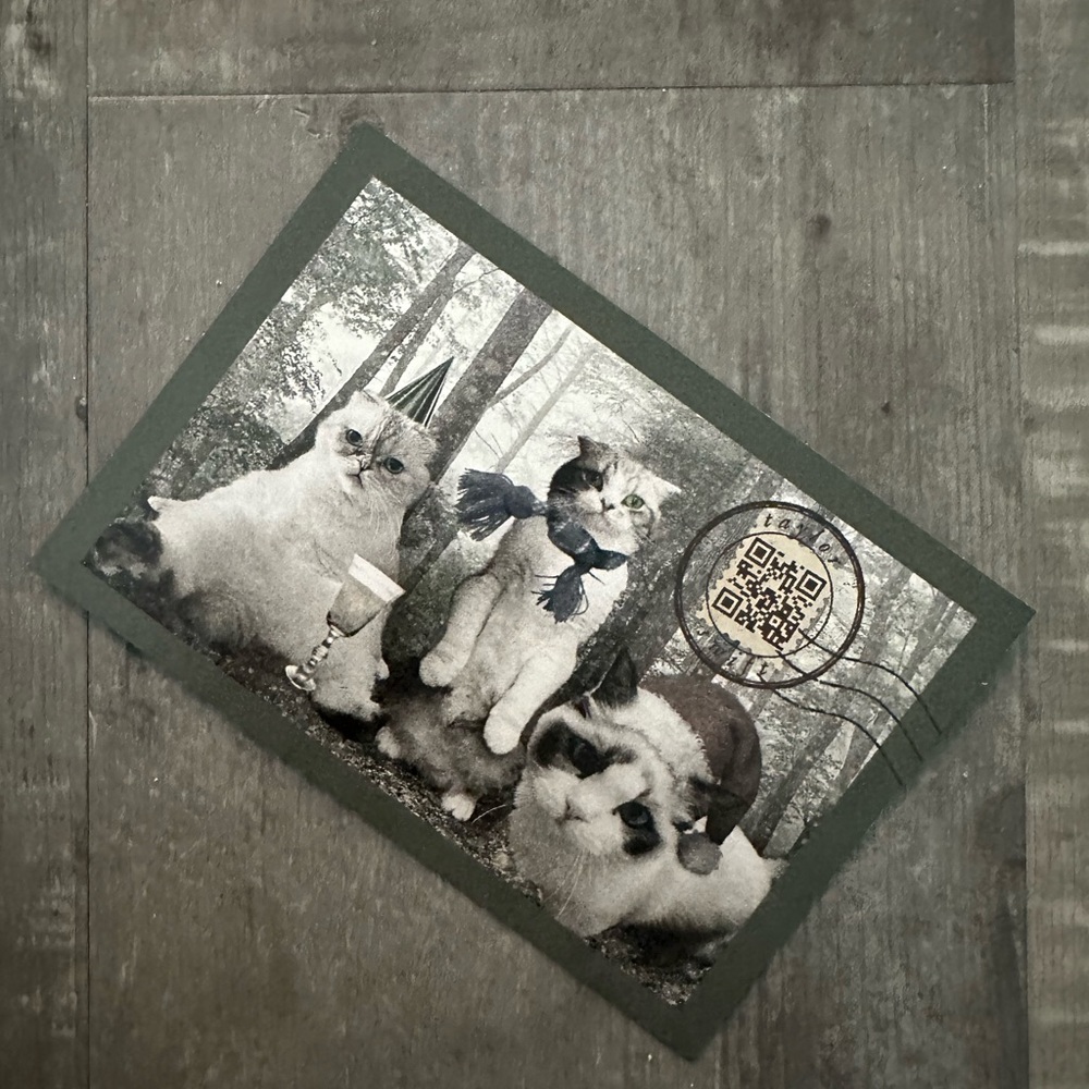 SOLD - Swiftie holiday cats postcard